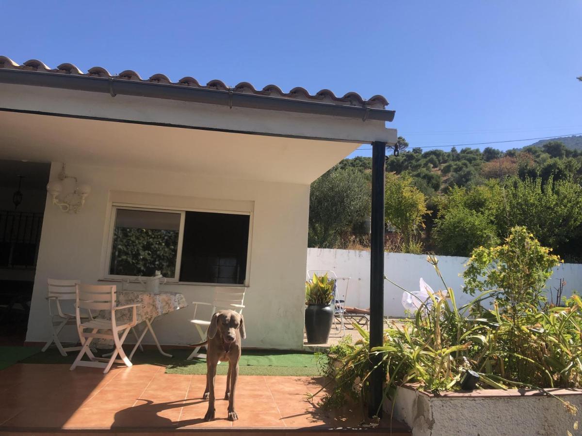 Villa Rosario El Bosque Εξωτερικό φωτογραφία